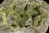 Yellow Crystal Filled Septarian Geode ( lbs) - Utah #135444-1
